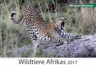 Wildtiere Afrikas 2017