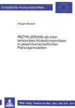 Â«RezyklierungÂ» als intertemporales Allokationsproblem in gesamtwirtschaftlichen Planungsmodellen