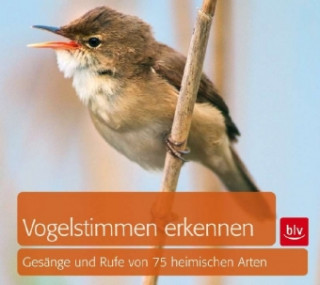 Vogelstimmen erkennen, Audio-CD