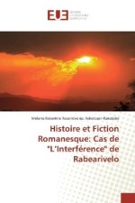 Histoire et Fiction Romanesque: Cas de 