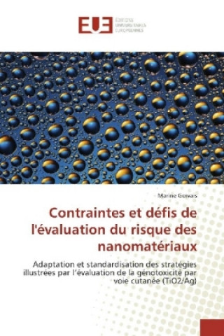 Contraintes et défis de l'évaluation du risque des nanomatériaux