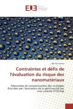 Contraintes et défis de l'évaluation du risque des nanomatériaux