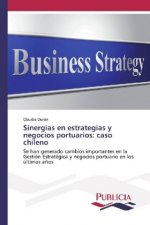 Sinergias en estrategias y negocios portuarios: caso chileno