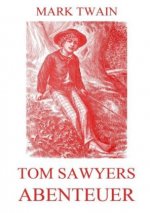 Tom Sawyers Abenteuer