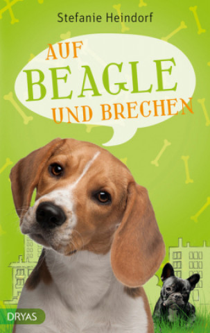 Auf Beagle und Brechen