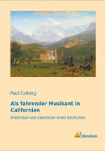 Als fahrender Musikant in Californien