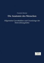 Anatomie des Menschen