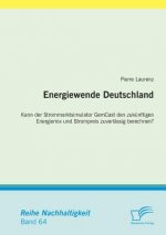 Energiewende Deutschland. Kann der Strommarktsimulator GemCast den zukunftigen Energiemix und Strompreis zuverlassig berechnen?