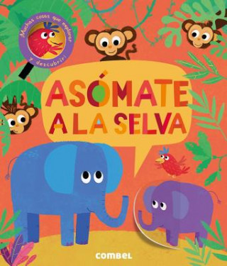 Asómate a la selva