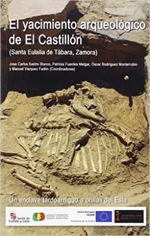 El yacimiento arqueológico de El Castillón, Santa Eulalia de Tábara, Zamora : un enclave tardoantiguo a orillas del Esla