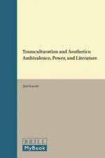 TRANSCULTURATION & AESTHETICS
