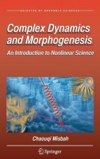 Complex Dynamics and Morphogenesis