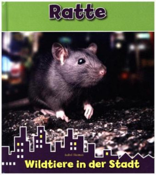 Ratte. Wildtiere in der Stadt