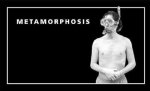Metamorphosis: Flip Book