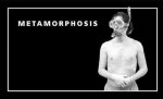 Metamorphosis: Flip Book