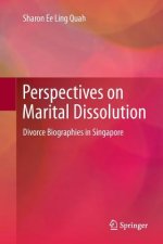 Perspectives on Marital Dissolution