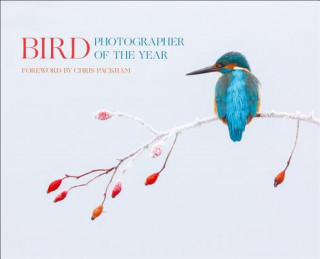 Bird Photographer of the Year