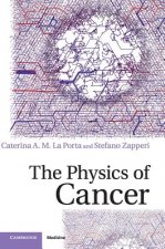 Physics of Cancer