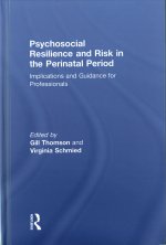 Psychosocial Resilience and Risk in the Perinatal Period
