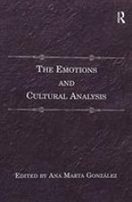 Emotions and Cultural Analysis