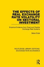 Effects of Real Exchange Rate Volatility on Sectoral Investment