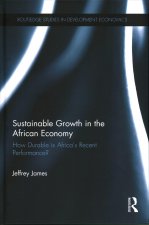 Sustainable Growth in the African Economy