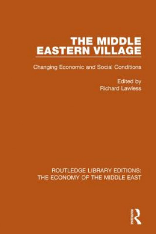 Middle Eastern Village
