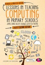 Lessons in Teaching Computing in Primary Schools