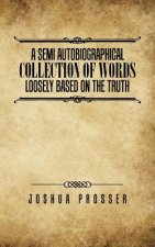 Semi Autobiographical Collection Of Words Loosly Based On The Truth