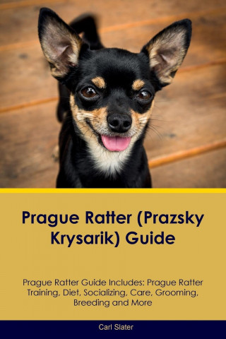 Prague Ratter (Prazsky Krysarik) Guide Prague Ratter Guide Includes