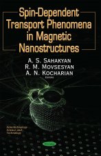Spin S=1/2 Dependent Phenomena of Fermions in Magnetic Nanostructures & Nanoelements