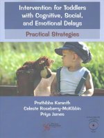 Intervention for Toddlers with Cognitive, Social, and Emotional Delays