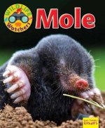 Wildlife Watchers: Mole