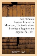 Eau Minerale Ferro-Sulfureuse de Moudang Hautes-Pyrenees Buvettes A Bagneres-De-Bigorre Et Aux Bains