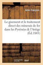 Recherches Sur Le Gisement Et Le Traitement Direct Des Minerais de Fer Dans Les Pyrenees & l'Ariege