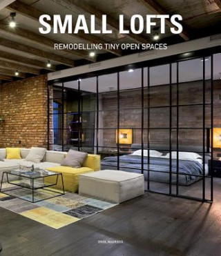 Small Lofts: Remodelling Tiny Open Spaces