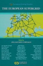 European Energy Studies Volume VII: The European Supergrid