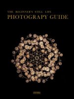 Beginner's Still Life Photography Guide