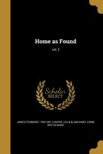 HOME AS FOUND VOL 2