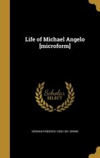 LIFE OF MICHAEL ANGELO MICROFO