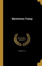 MYSTERIOUS TRAMP