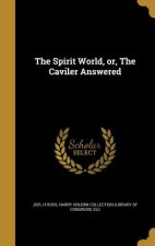 SPIRIT WORLD OR THE CAVILER AN