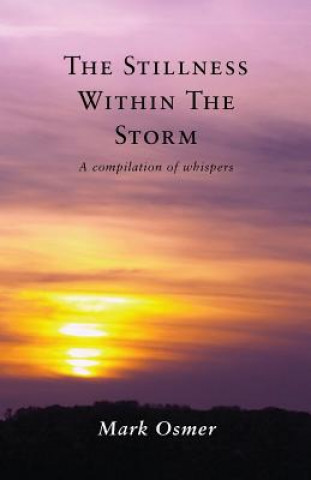 Stillness Within The Storm
