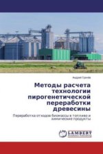 Metody rascheta tehnologii pirogeneticheskoj pererabotki drevesiny