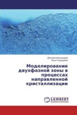 Modelirovanie dvuhfaznoj zony v processah napravlennoj kristallizacii