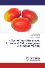 Effect of Maturity stage, Ethrel and Cold storage on CI of Kesar mango