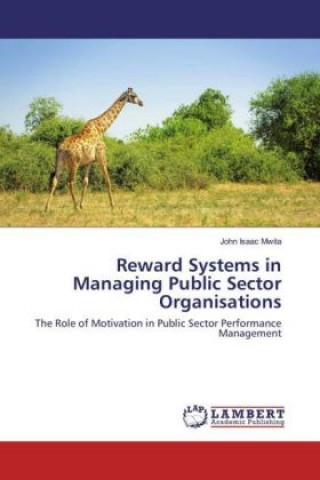 Reward Systems in Managing Public Sector Organisations
