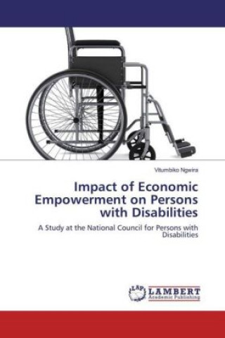 Impact of Economic Empowerment on Persons with Disabilities
