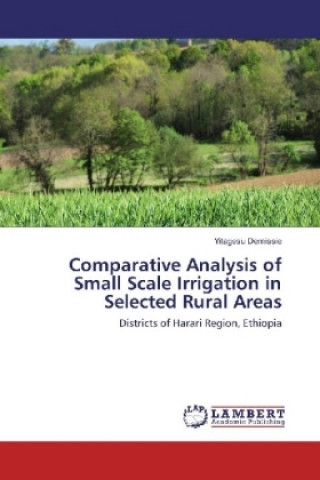 Comparative Analysis of Small Scale Irrigation in Selected Rural Areas