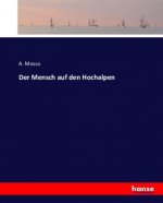 Mensch auf den Hochalpen
